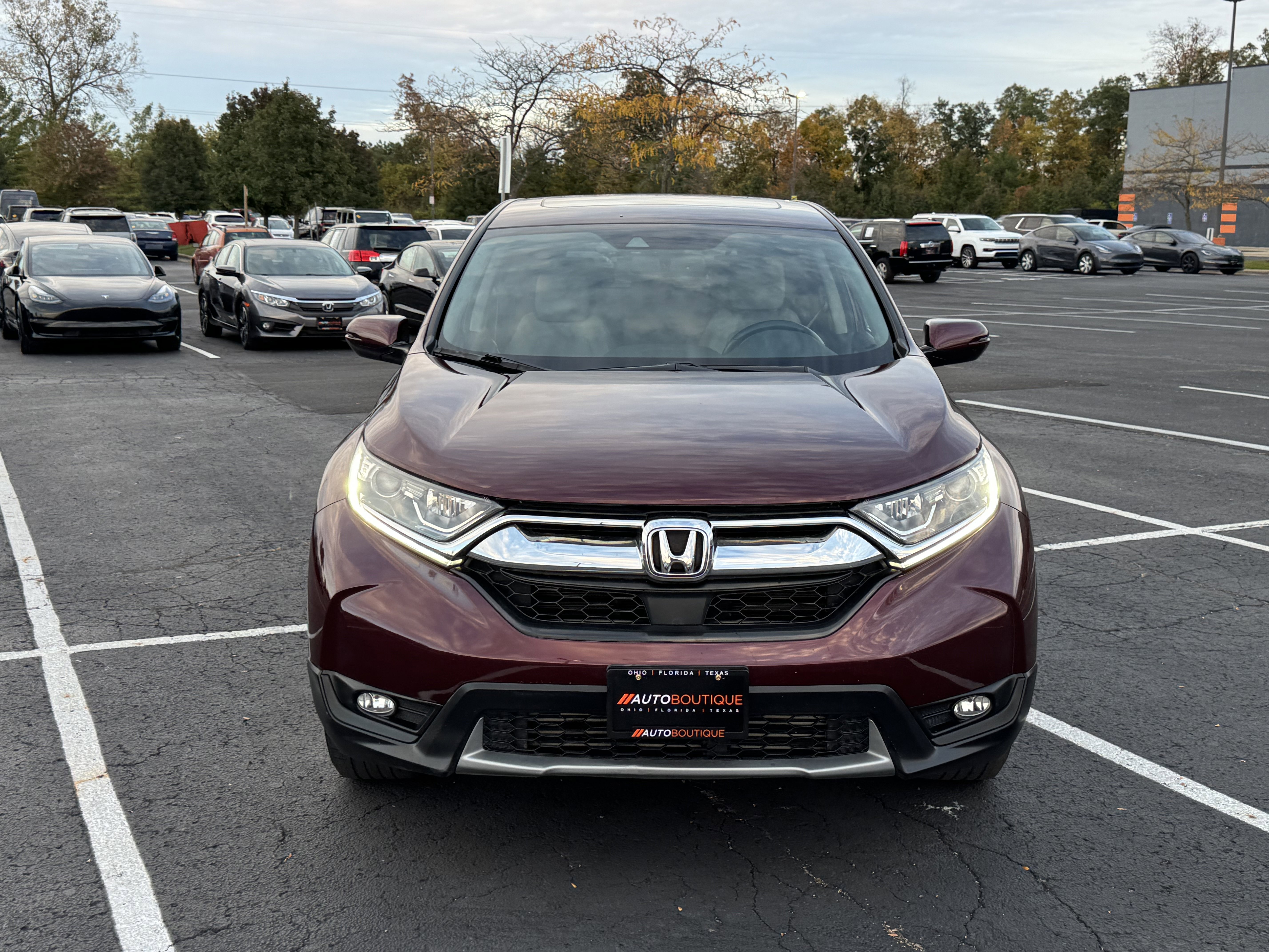 Used 2019 Honda CR-V EX-L image 3