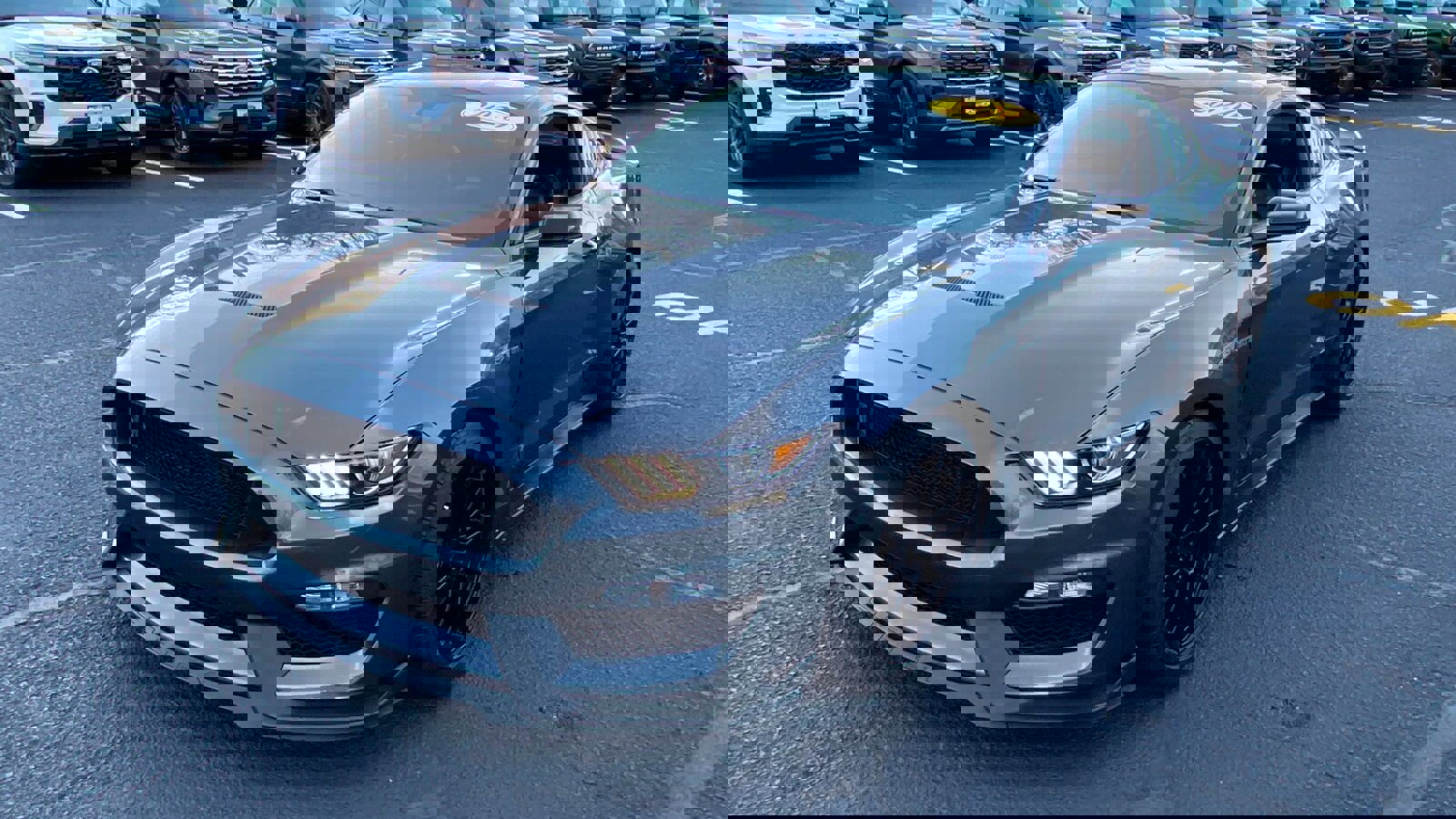 Used 2020 Ford Mustang Shelby GT350 w/ Technology Package image 3