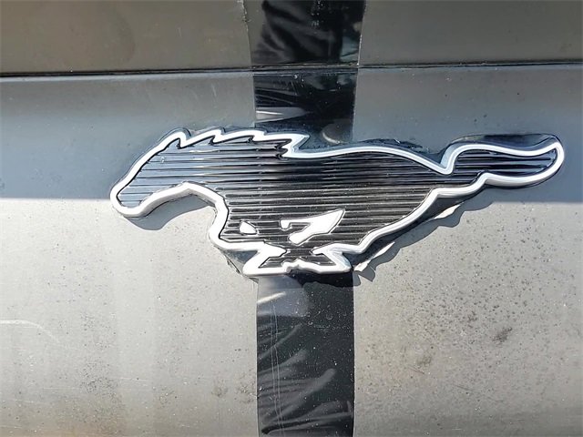 Used 2021 Ford Mustang Mach-E Select w/ Comfort/Appearance Package image 7