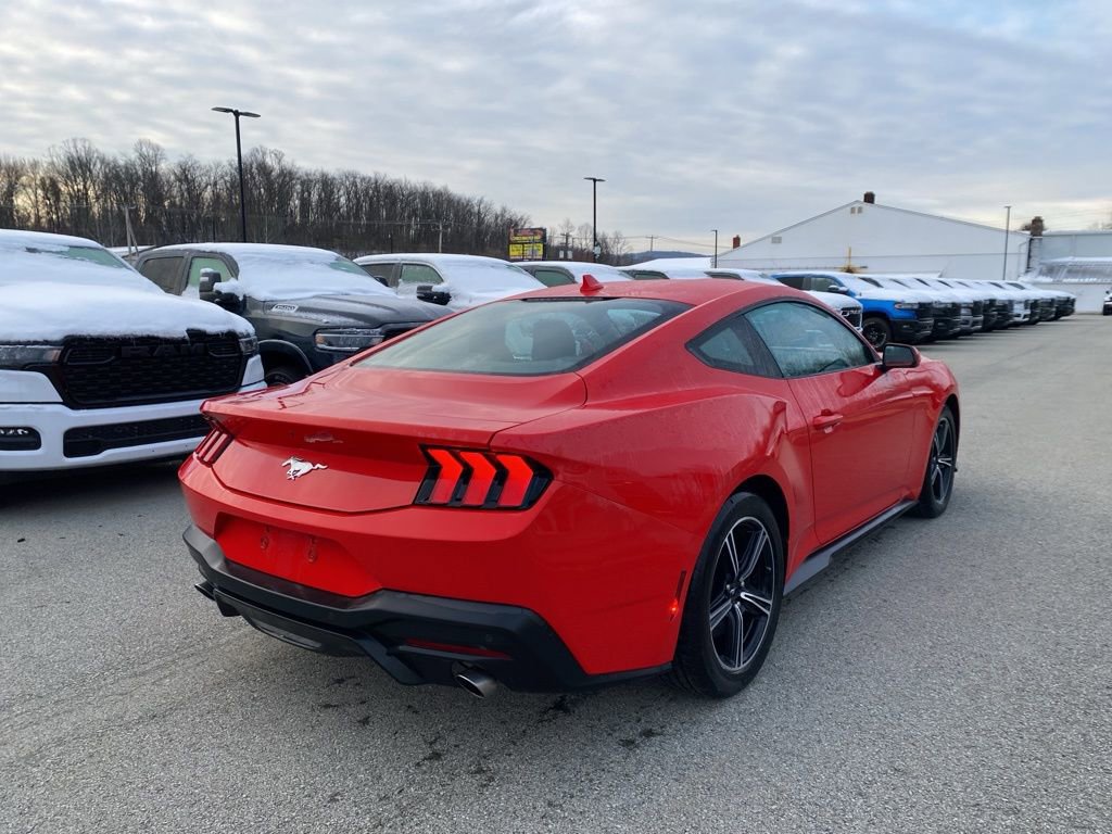Used 2024 Ford Mustang EcoBoost image 2