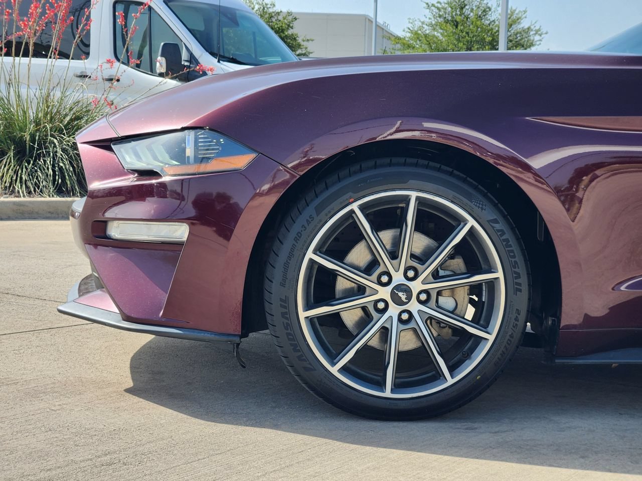 Used 2018 Ford Mustang Premium w/ Wheel & Stripe Package RWD image 8