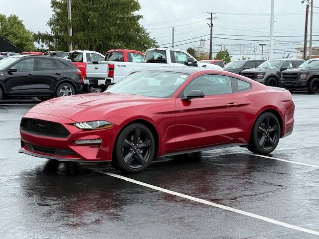 Used 2023 Ford Mustang Coupe w/ Equipment Group 101A image 7