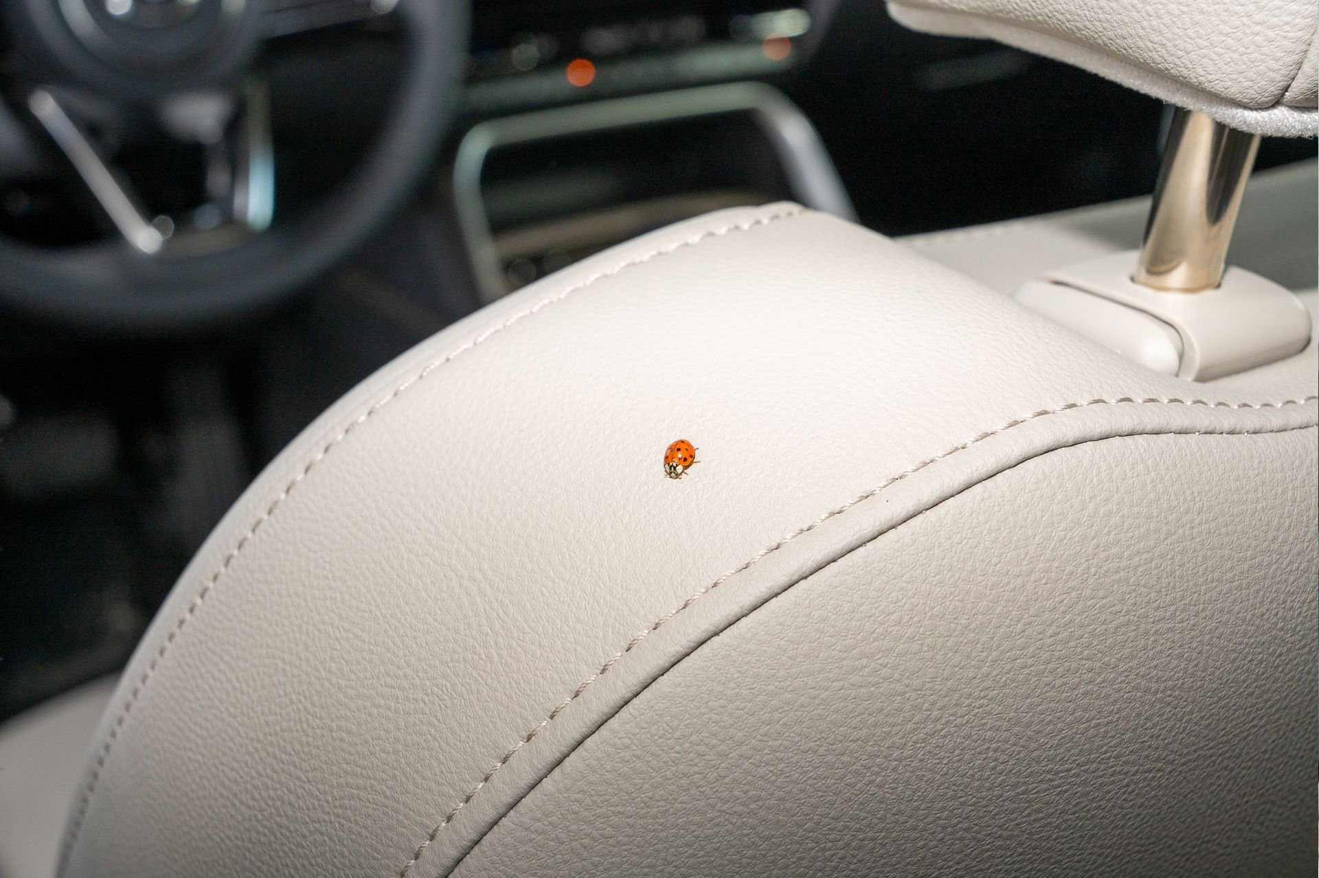 New 2026 MAZDA CX-90 3.3 Turbo w/ Preferred Package image 19