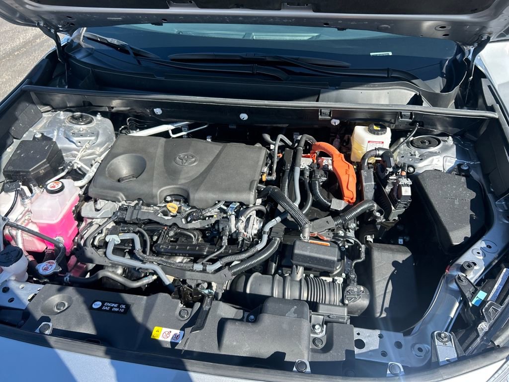 Certified 2025 Toyota RAV4 LE image 19