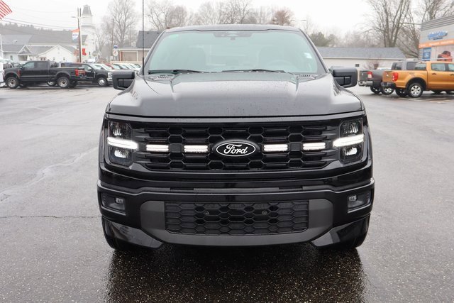 New 2025 Ford F150 STX w/ LOBO Package image 11