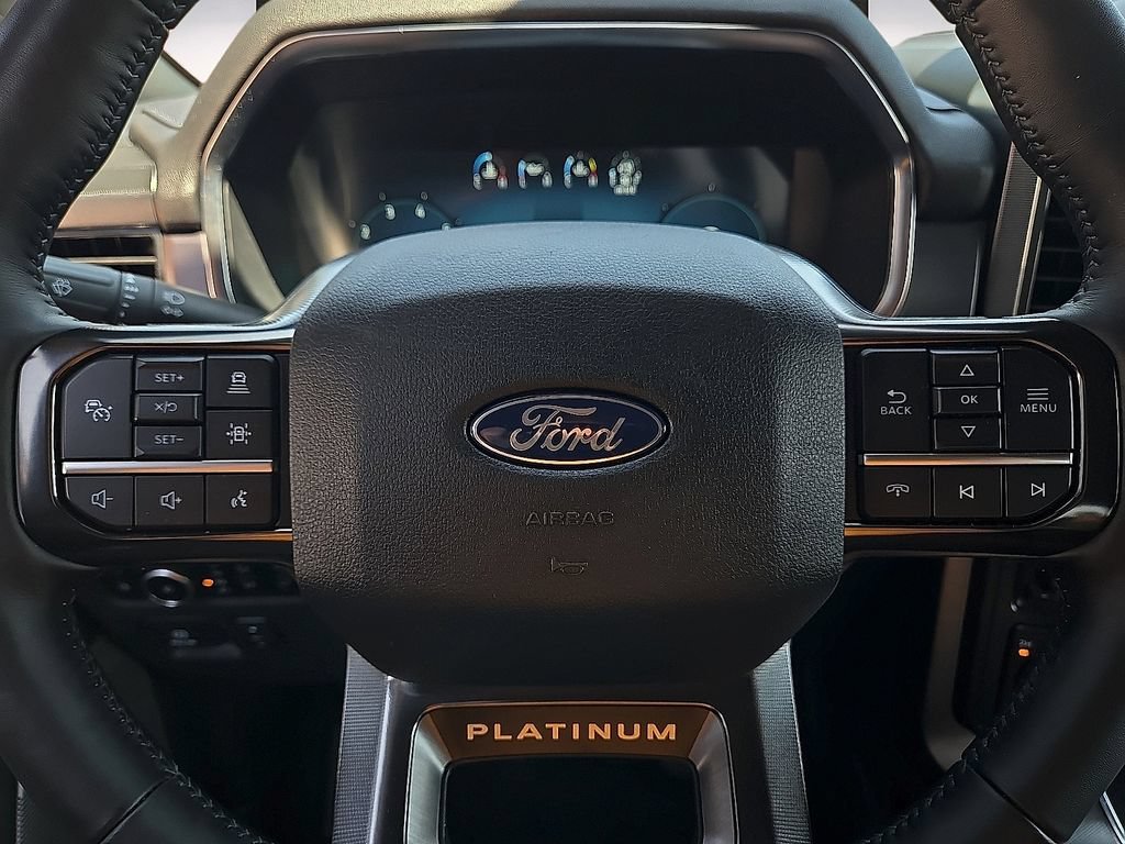 Used 2025 Ford F150 Platinum AWD/4WD image 19