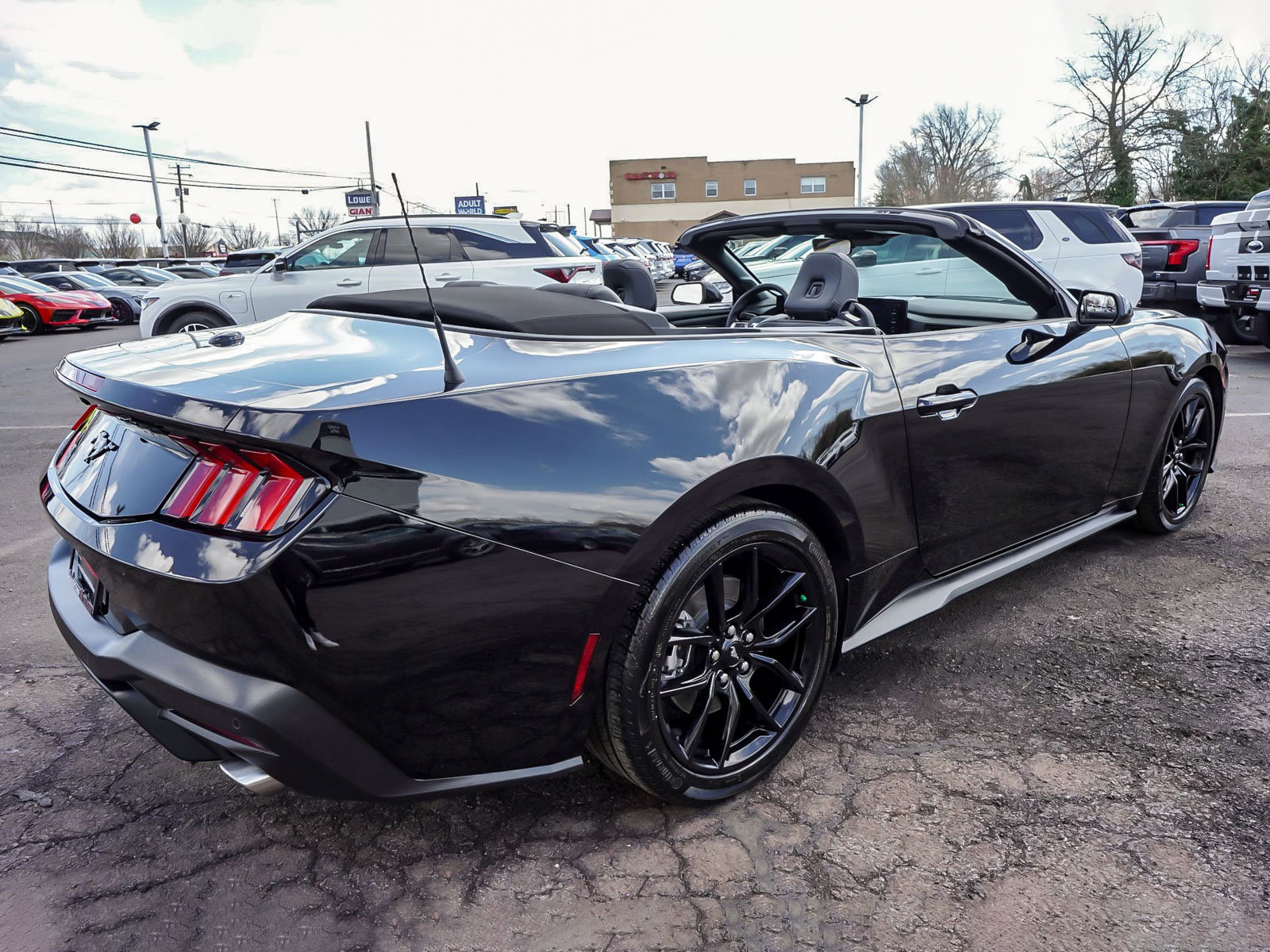 Used 2025 Ford Mustang Convertible w/ Mustang Nite Pony Package image 10