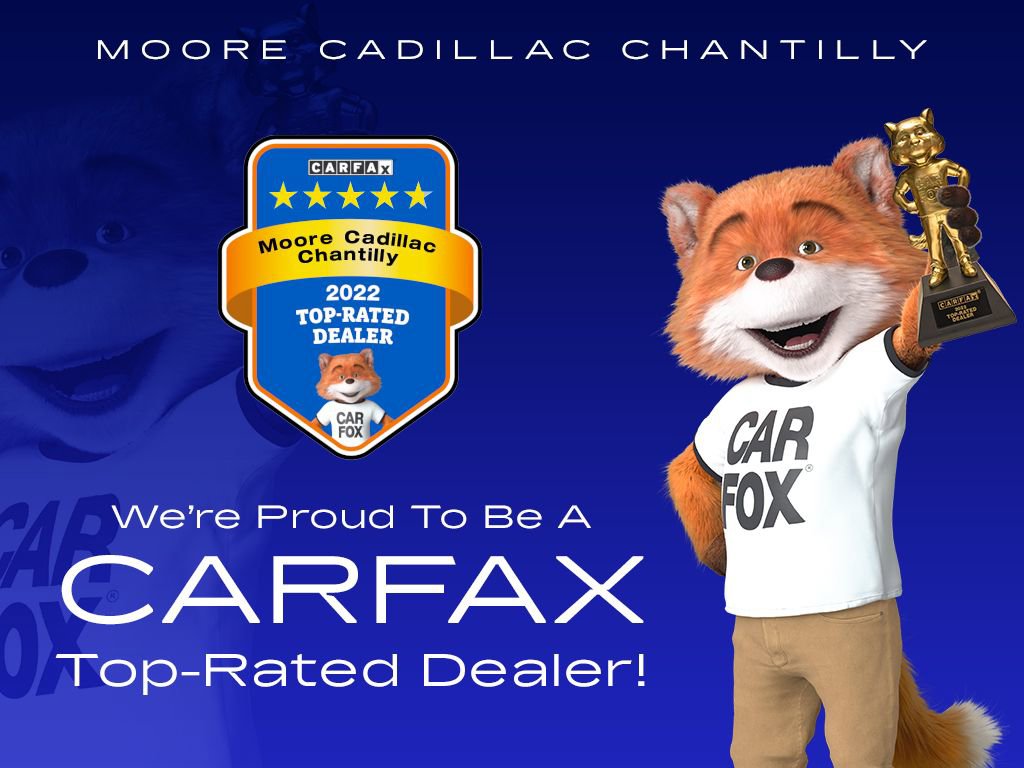 Used 2021 Tesla Model 3 Long Range image 21