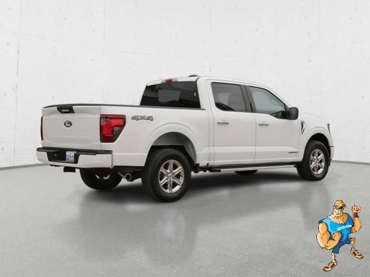 Used 2024 Ford F150 XLT w/ Mobile Office Package image 5