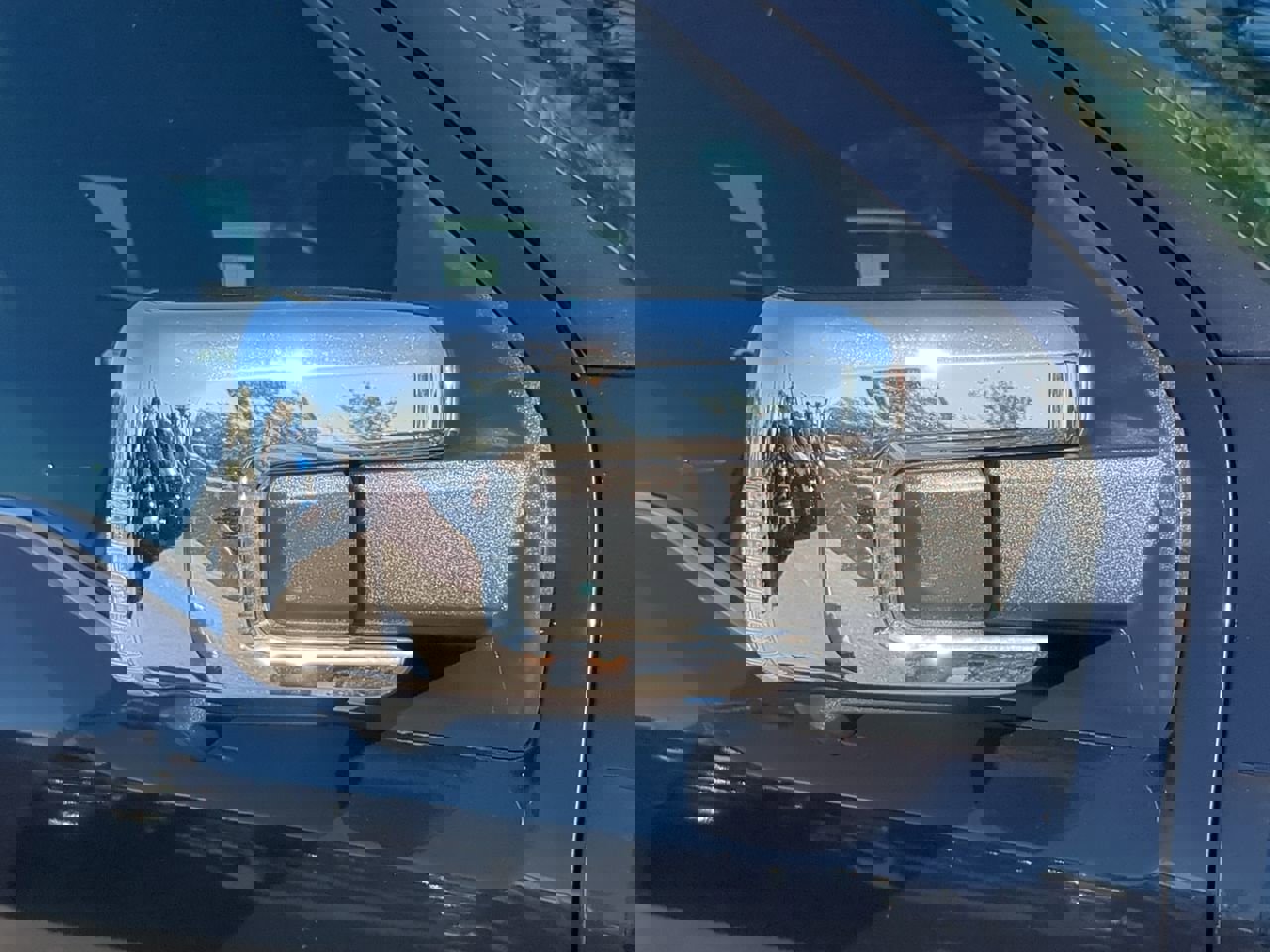 Used 2021 Ford F150 Platinum w/ Equipment Group 701A High image 12