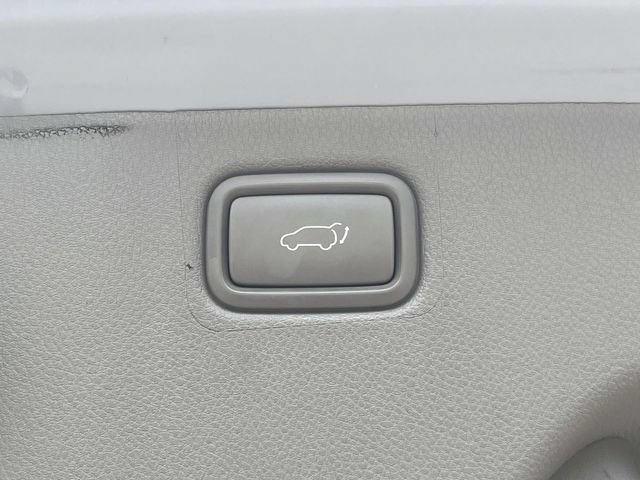 Used 2016 Kia Sedona EX FWD image 13