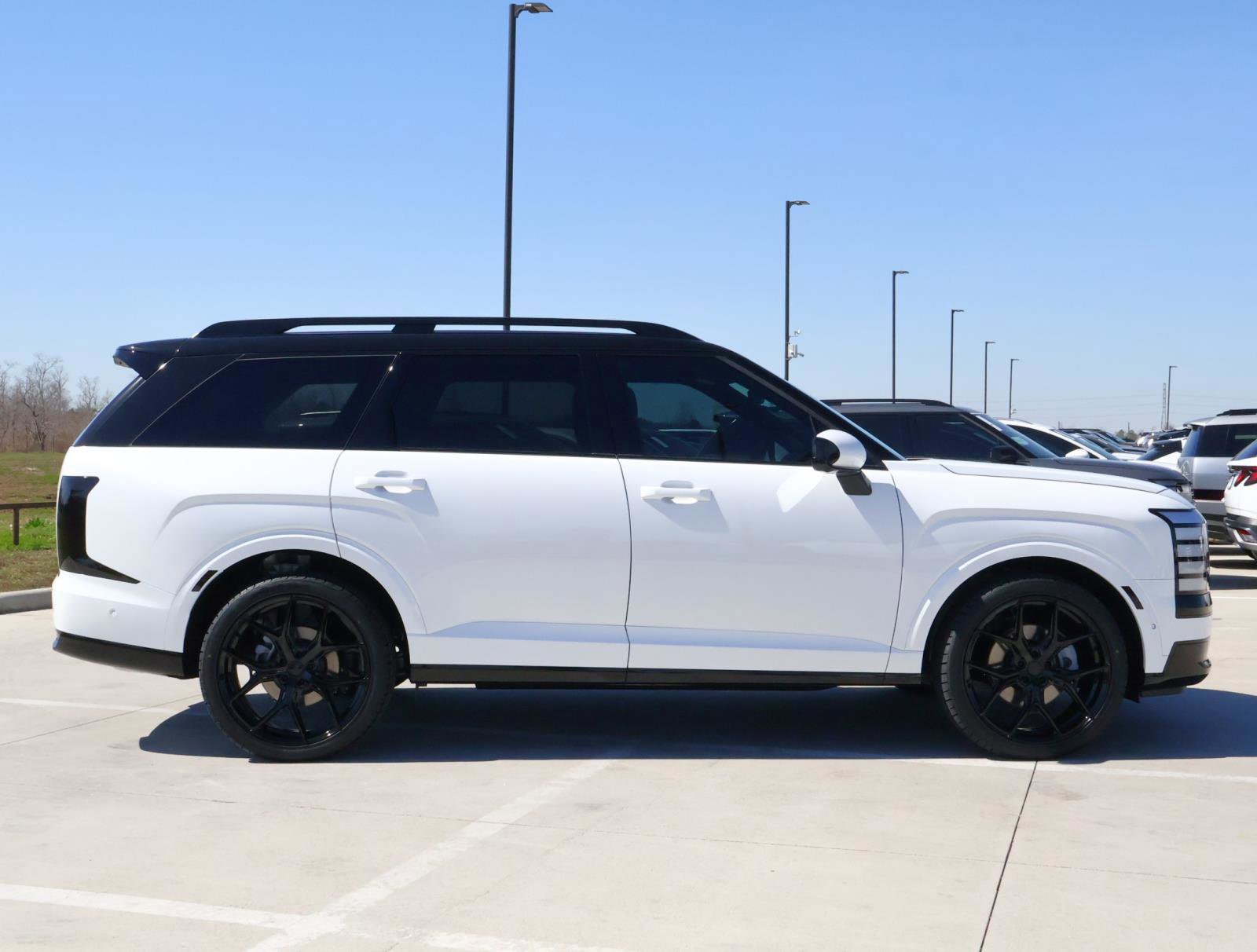 New 2026 Hyundai Palisade Calligraphy image 5