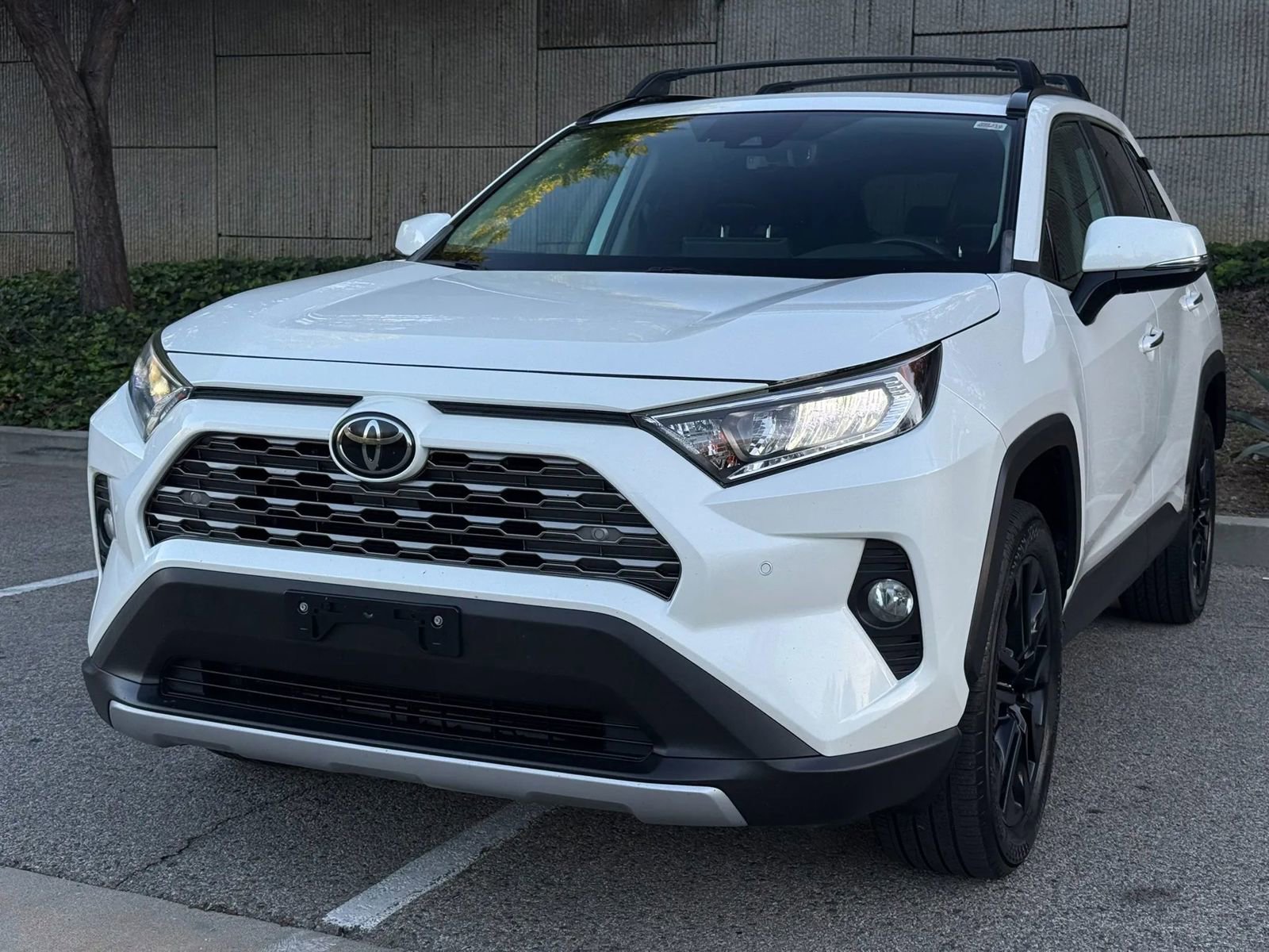 Used 2019 Toyota RAV4 Limited w/ Cold Weather Package image 2