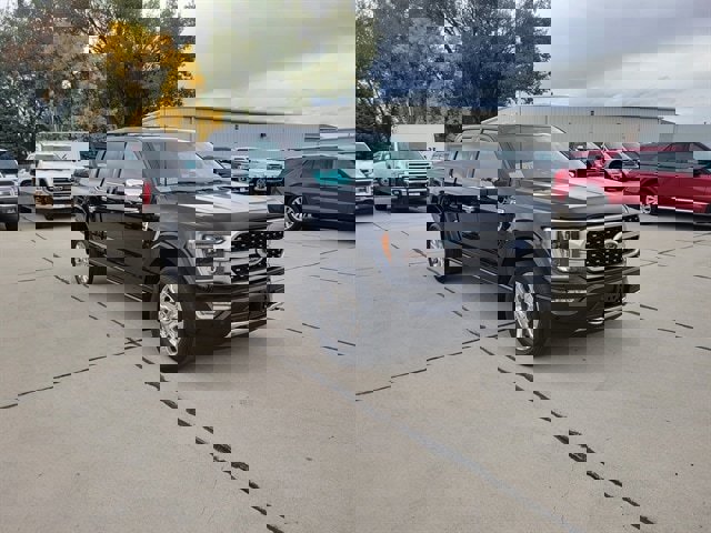 Used 2022 Ford F150 Platinum w/ Equipment Group 701A High