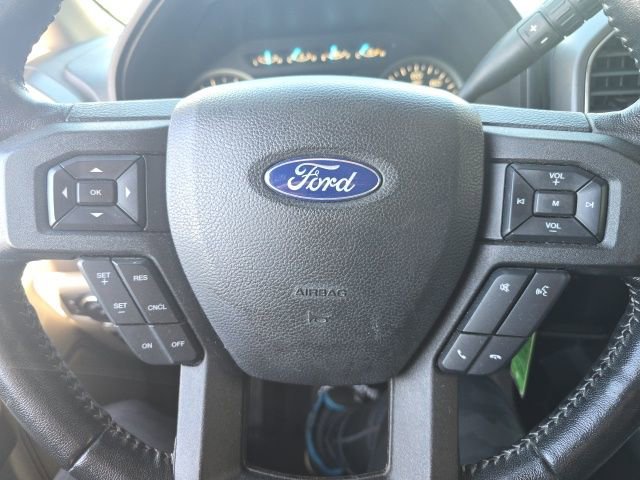 Used 2019 Ford F150 XLT w/ Equipment Group 302A Luxury image 14