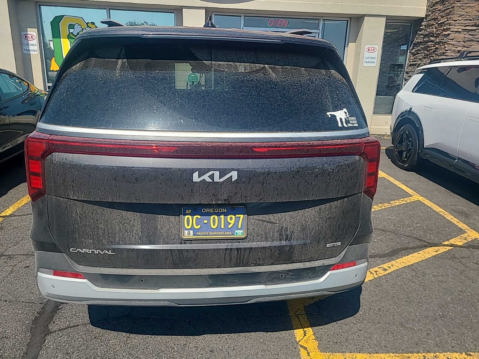 Used 2025 Kia Carnival EX FWD image 5
