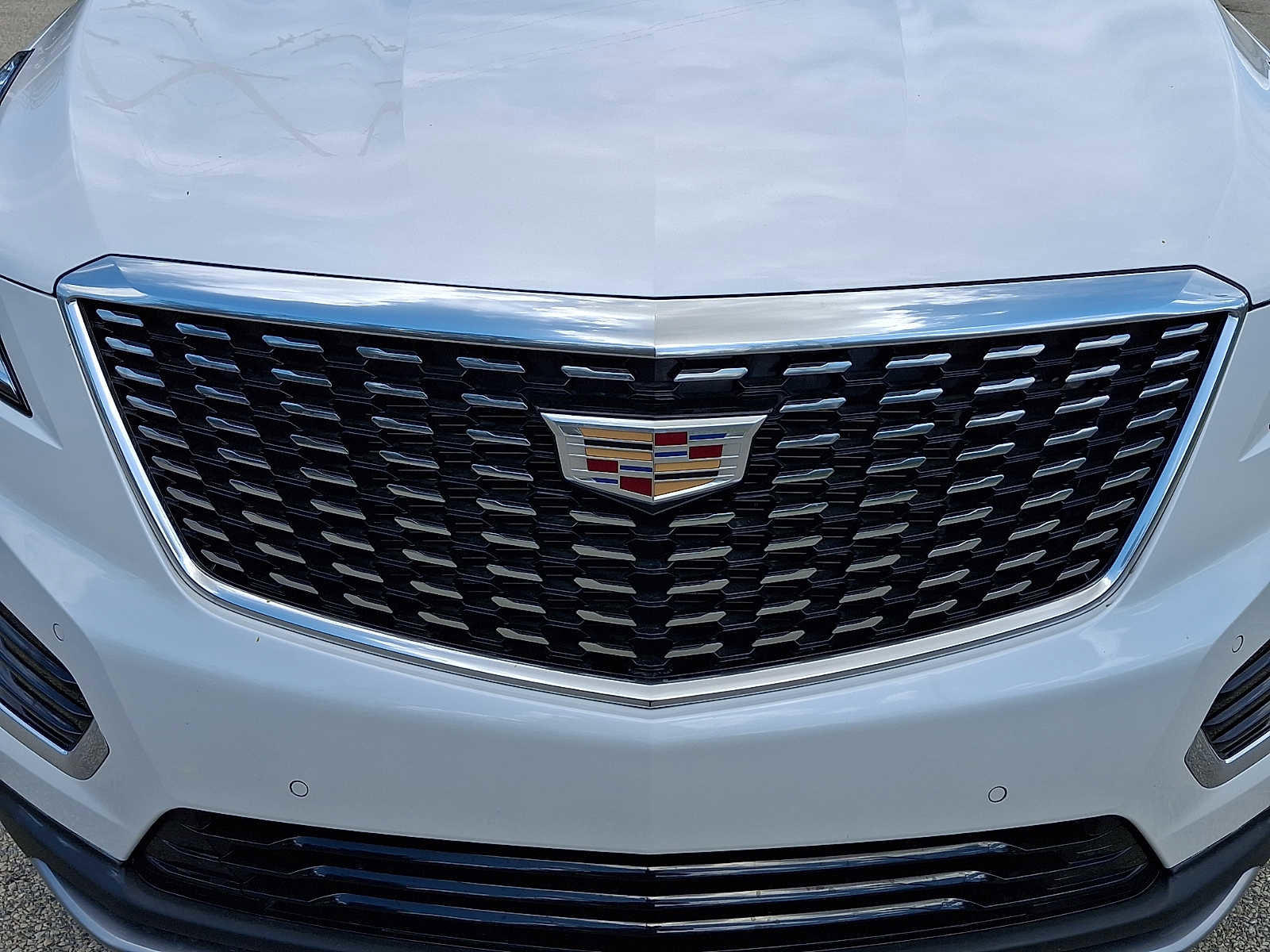 Certified 2023 Cadillac XT5 Premium Luxury image 9