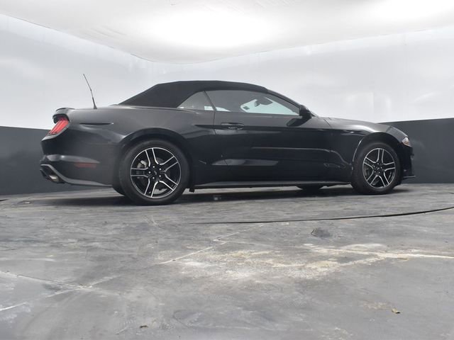 Used 2023 Ford Mustang Premium RWD image 50