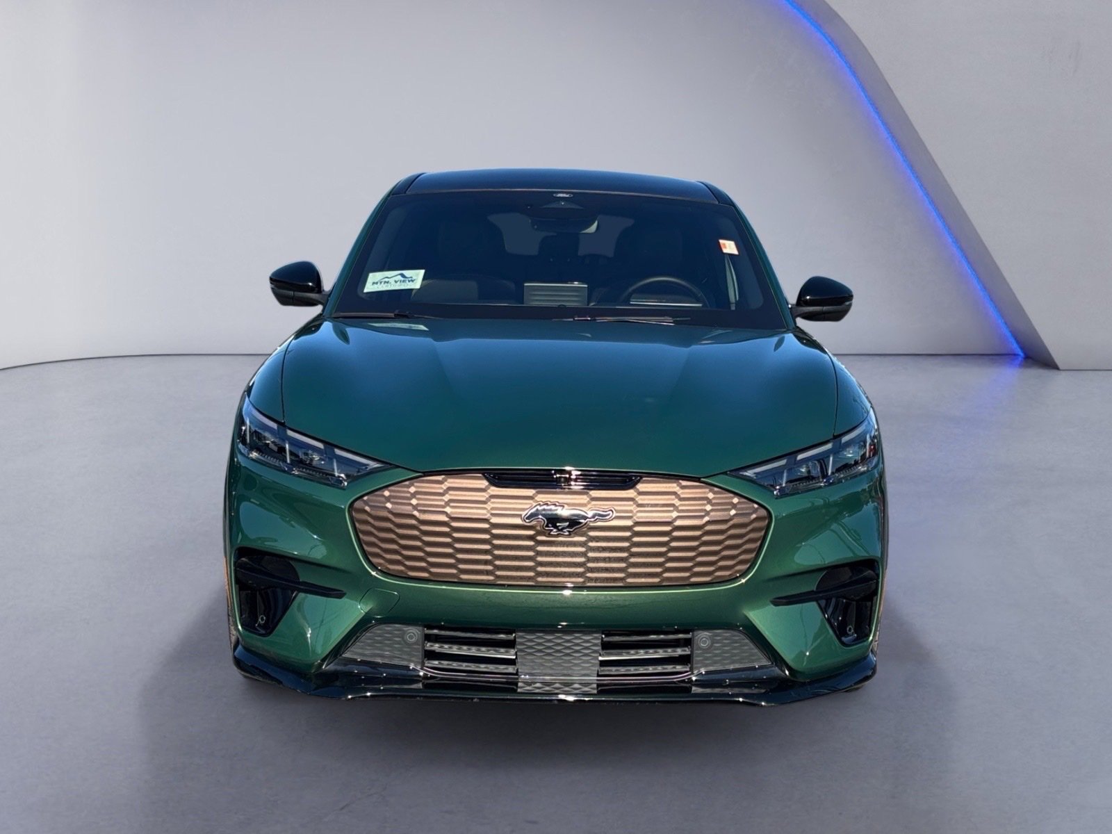 Used 2025 Ford Mustang Mach-E GT w/ Bronze Appearance Package image 9