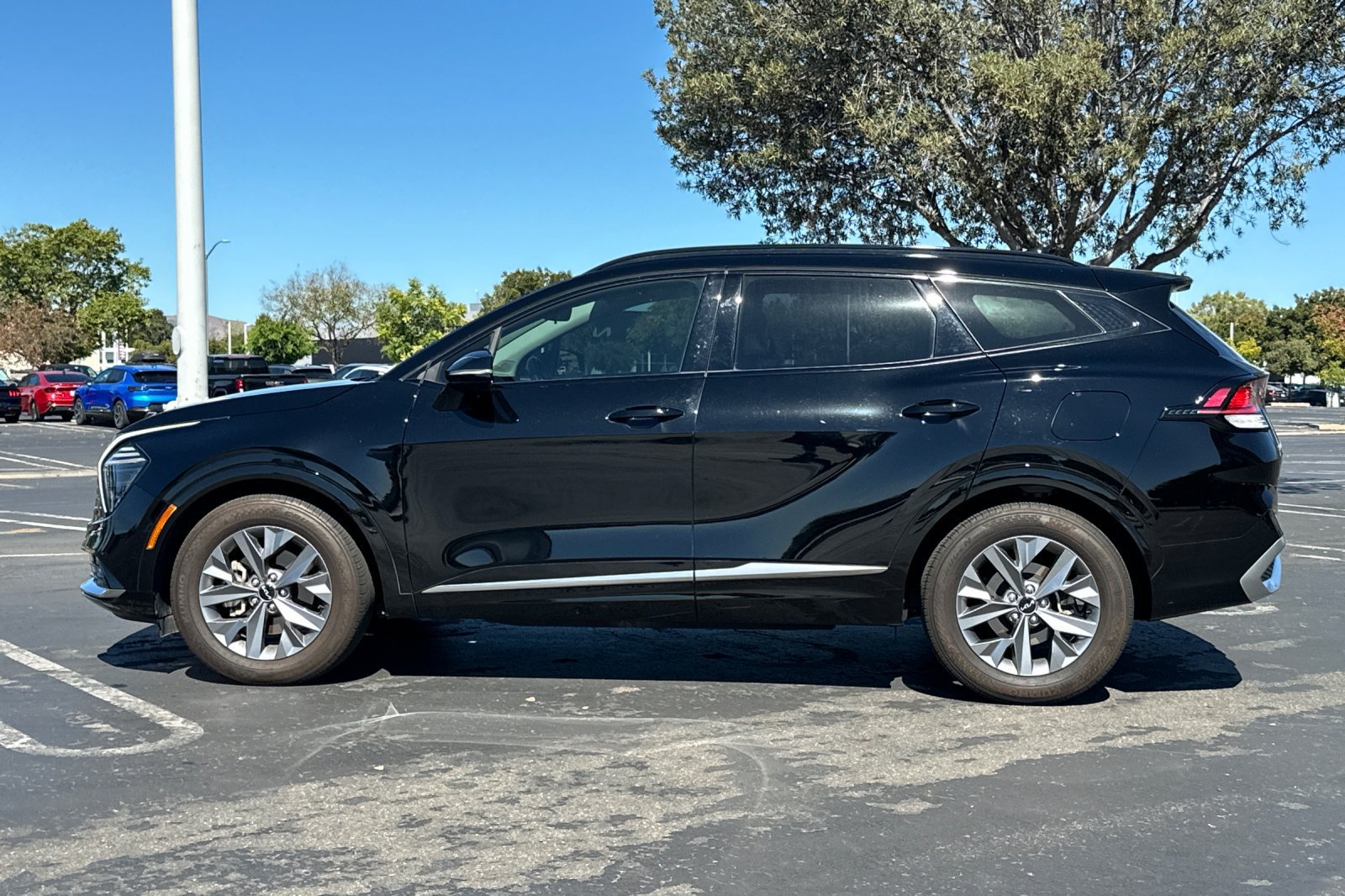 Used 2025 Kia Sportage SX FWD image 7