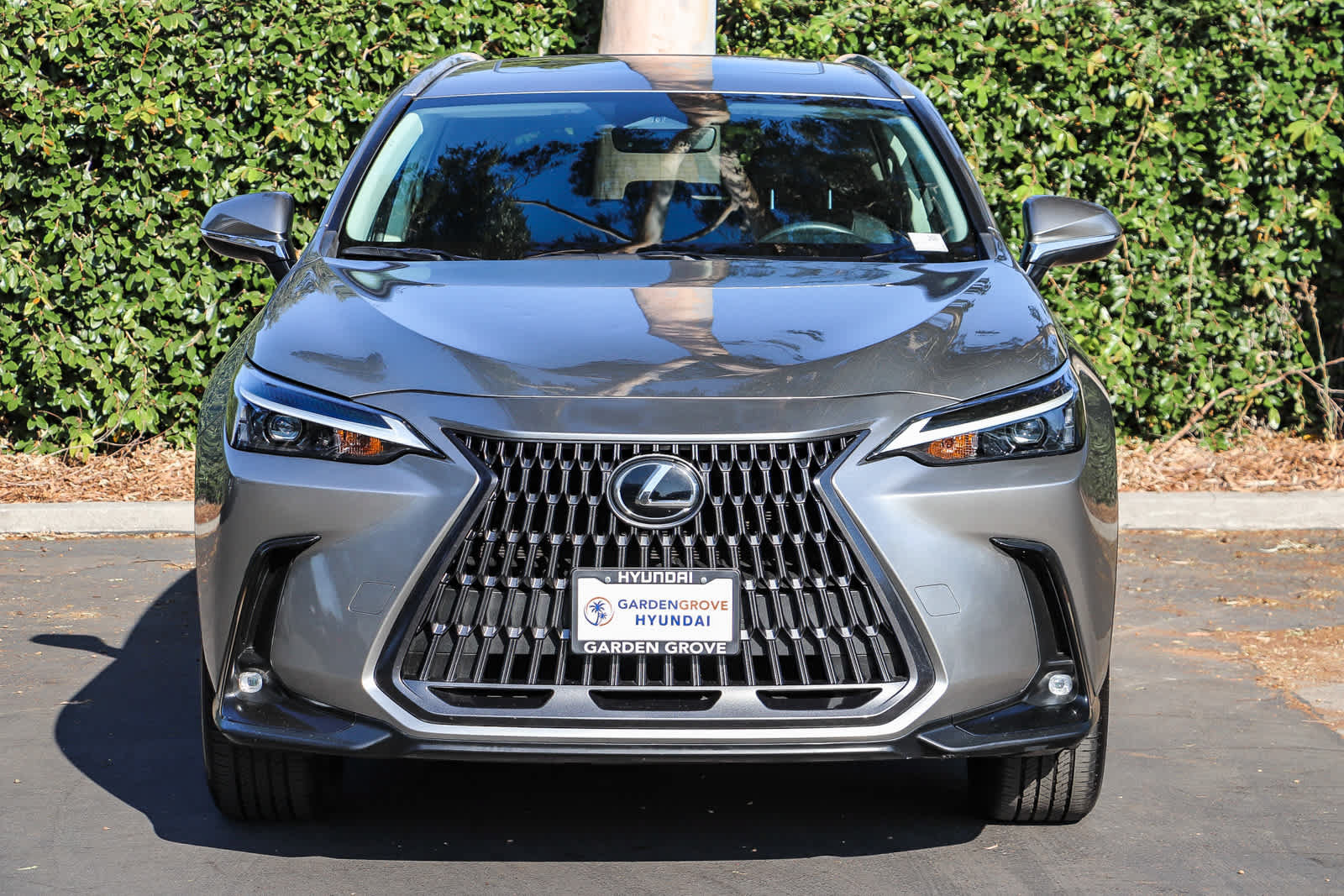 Used 2024 Lexus NX 250 FWD image 2