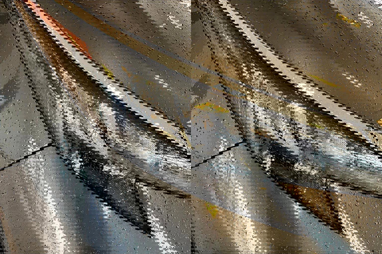 Used 2025 Toyota Sienna XLE w/ XLE Plus Package image 27