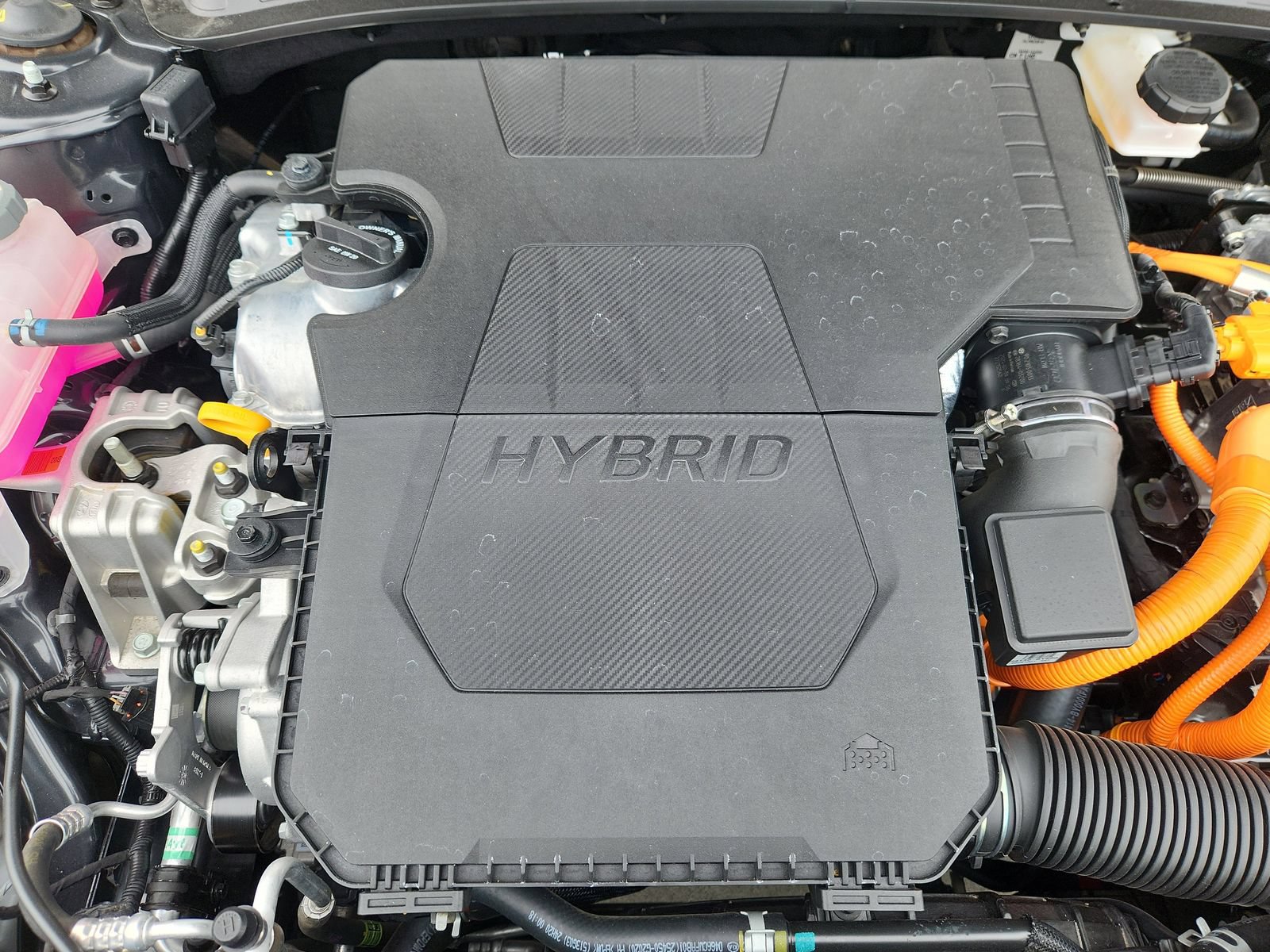 Used 2025 Hyundai Elantra Hybrid FWD image 14