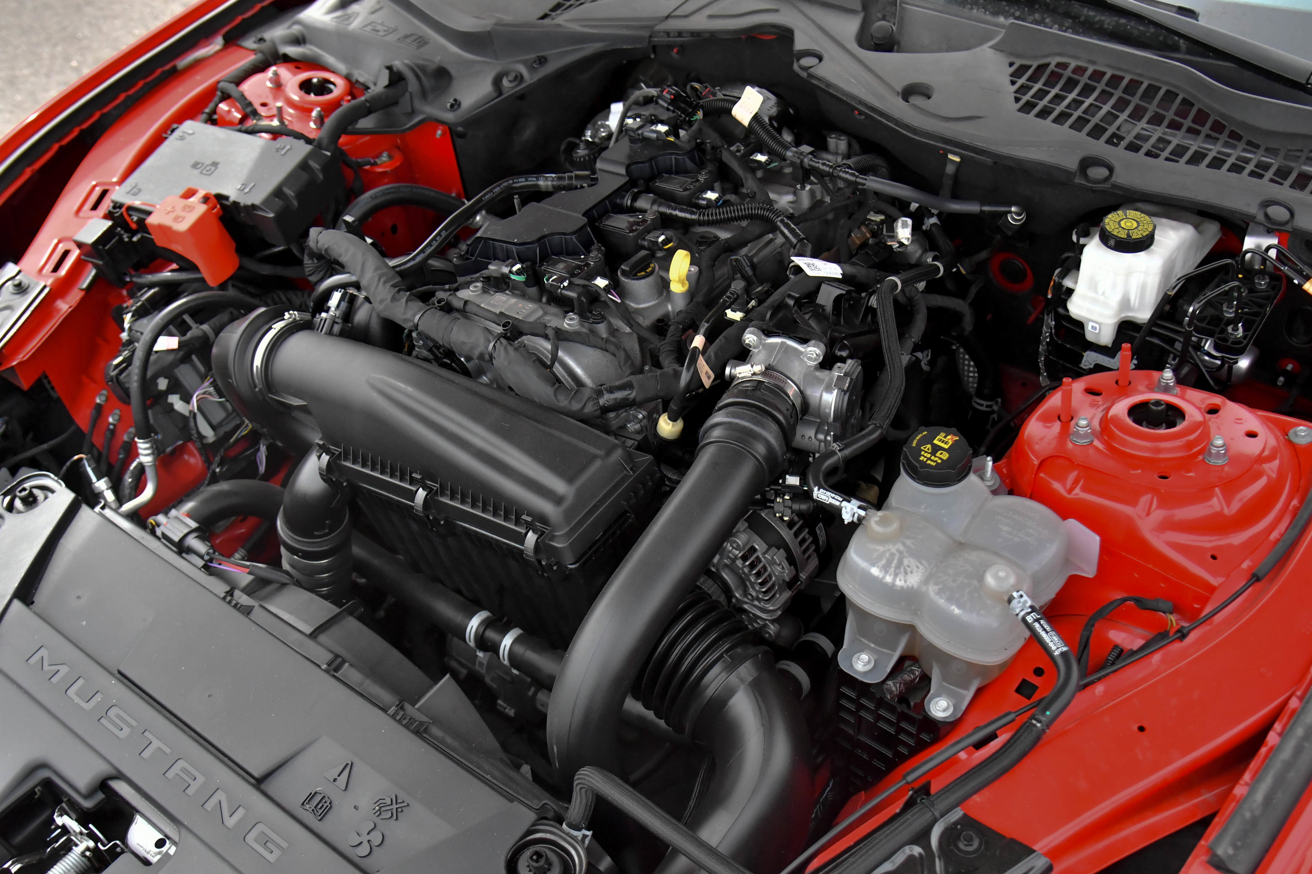 Used 2024 Ford Mustang Premium RWD image 44