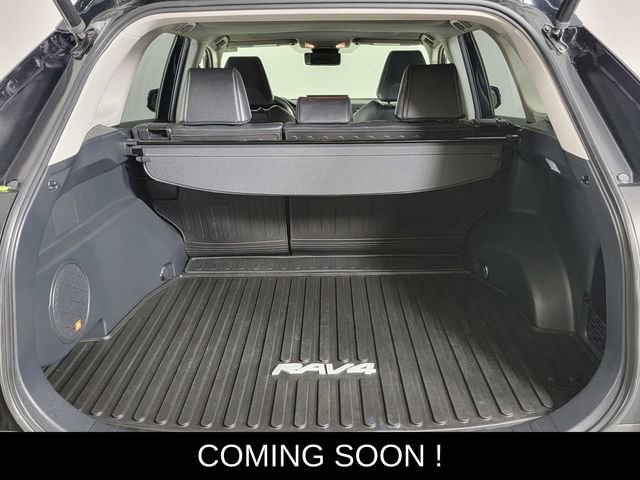 Used 2019 Toyota RAV4 Limited w/ All Weather Liner Package image 16