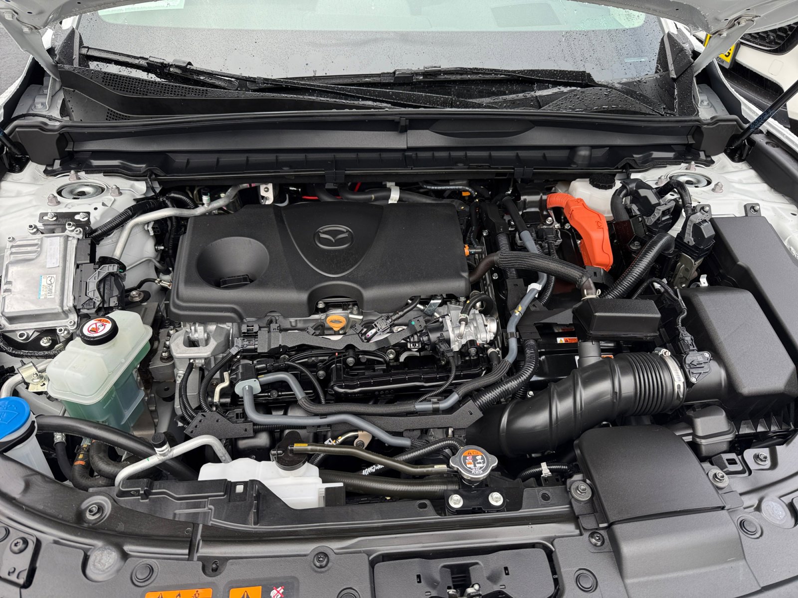 Certified 2025 MAZDA CX-50 2.5 Hybrid w/ Premium Plus Pkg image 20