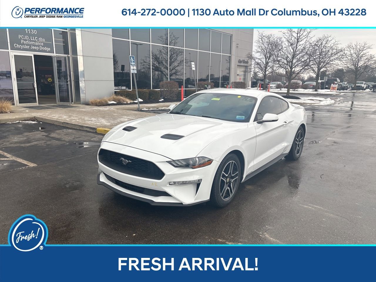 Used 2019 Ford Mustang Premium image 8