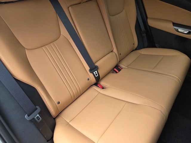 New 2026 Lexus NX 350 AWD w/ Premium Package image 6