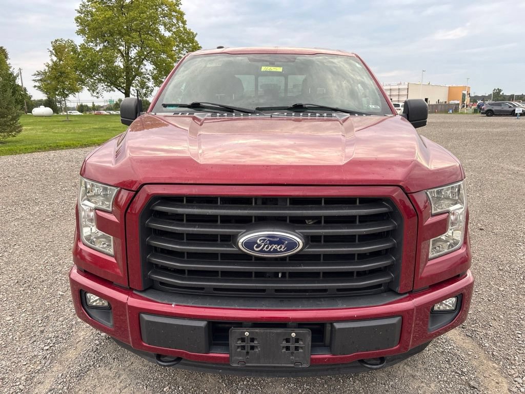 Used 2015 Ford F150 XLT w/ Equipment Group 302A Luxury AWD/4WD image 2
