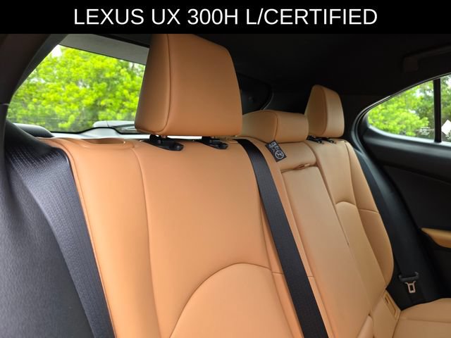 Used 2025 Lexus UX 300h FWD w/ Cold Area Package image 14