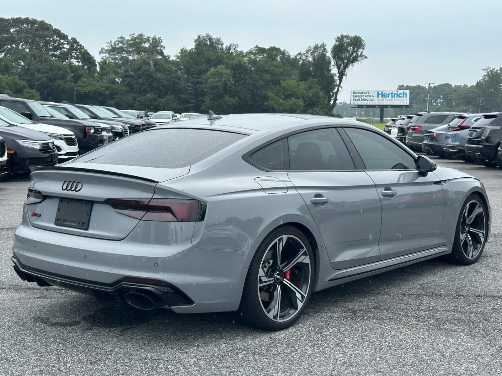 Used 2019 Audi RS 5 Sportback w/ Dynamic Package AWD/4WD image 6