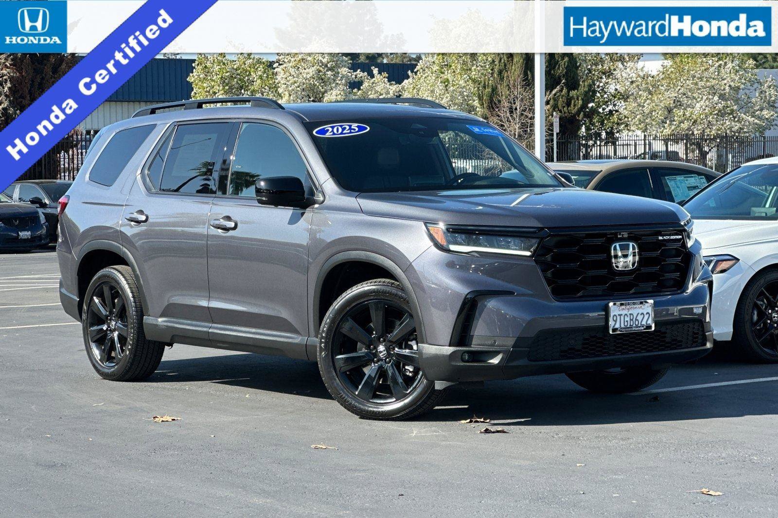 Certified 2025 Honda Pilot Black Edition image 1