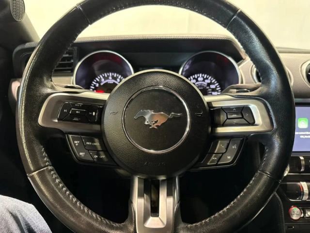 Used 2019 Ford Mustang EcoBoost w/ Equipment Group 101A image 13