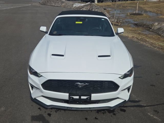 Used 2023 Ford Mustang Premium RWD image 16