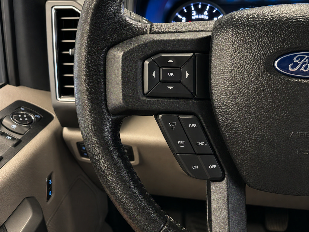Used 2019 Ford F150 XLT w/ Equipment Group 302A Luxury AWD/4WD image 4
