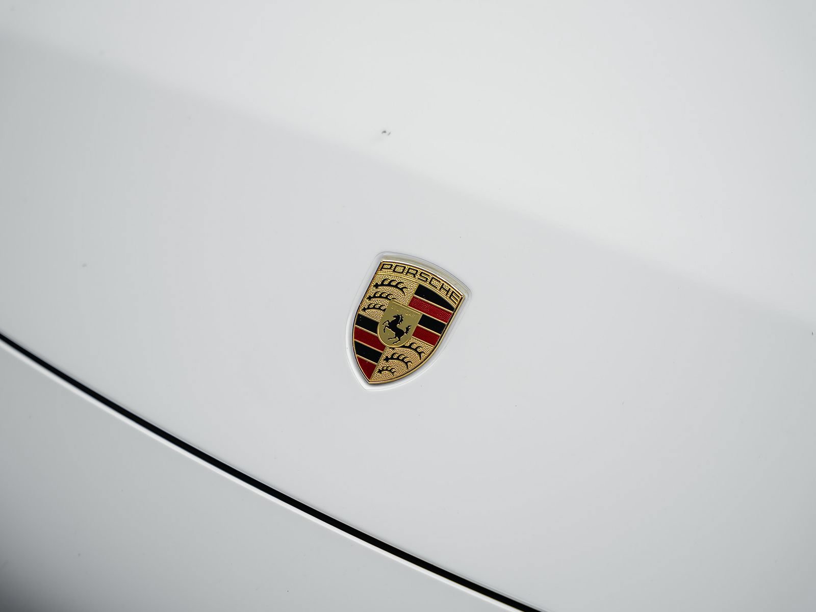 Used 2022 Porsche 911 Carrera RWD image 5