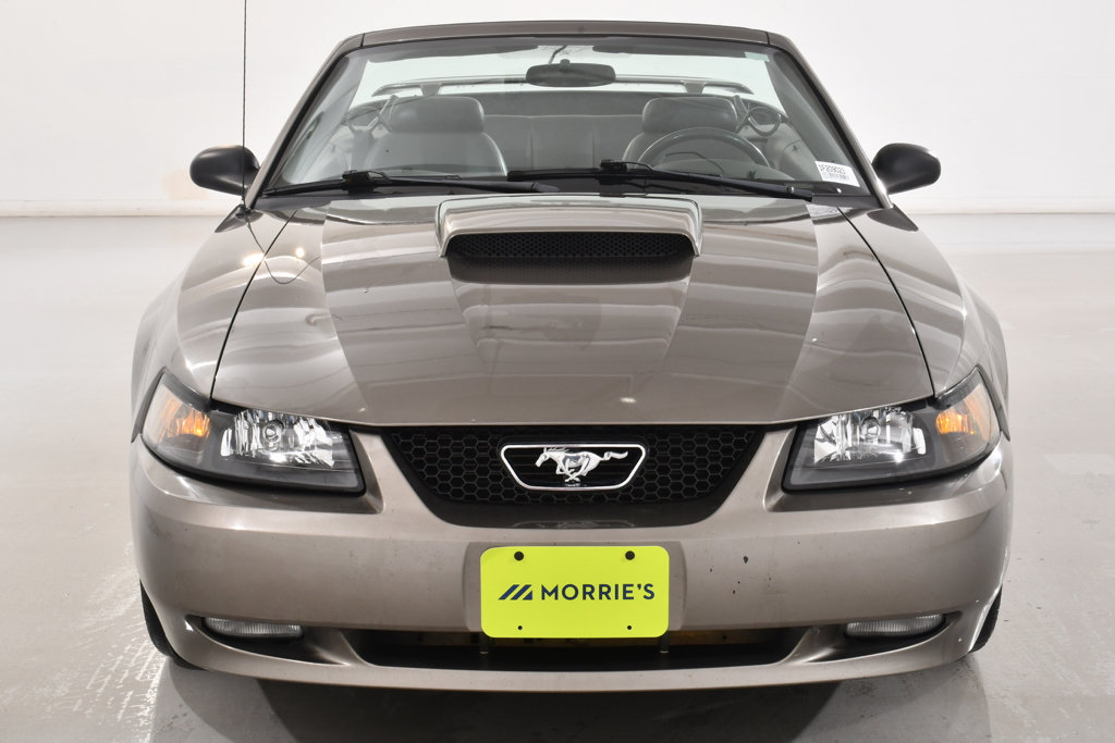 Used 2001 Ford Mustang GT RWD image 3
