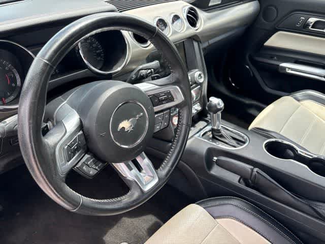 Used 2015 Ford Mustang 50 Years RWD image 10