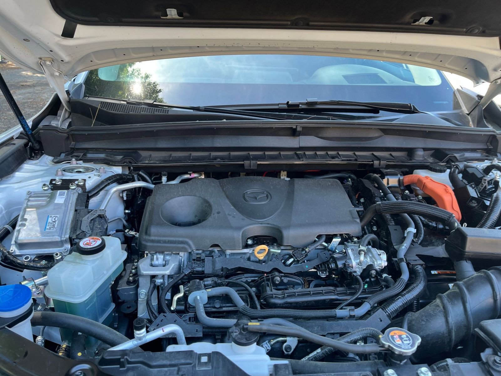 Used 2025 MAZDA CX-50 2.5 Hybrid w/ Premium Plus Pkg AWD/4WD image 34