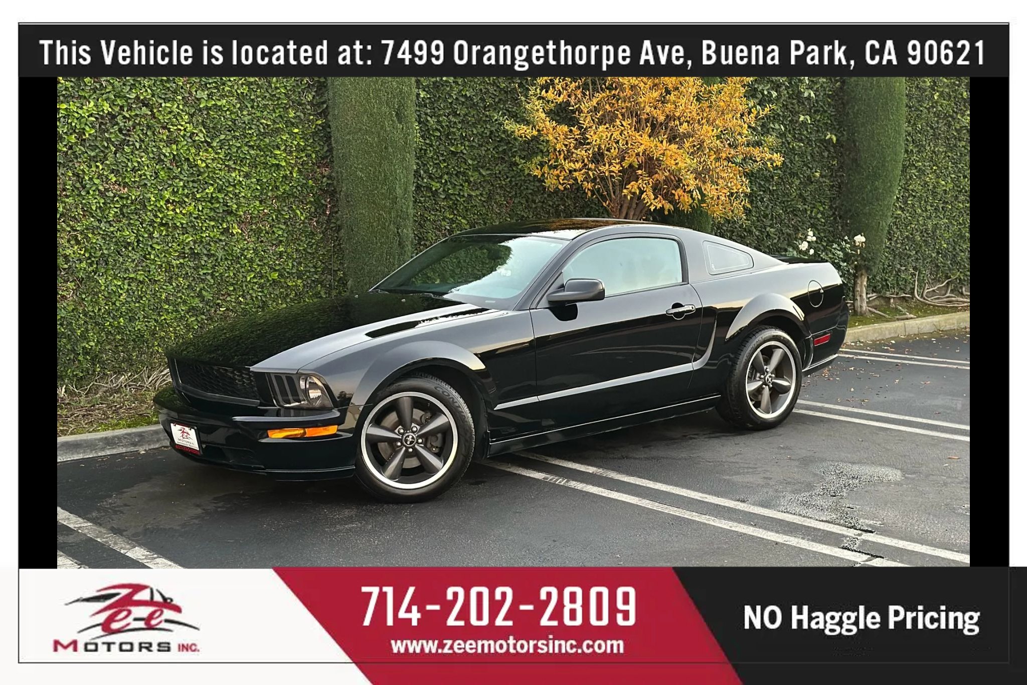 Used 2009 Ford Mustang GT Premium image 13