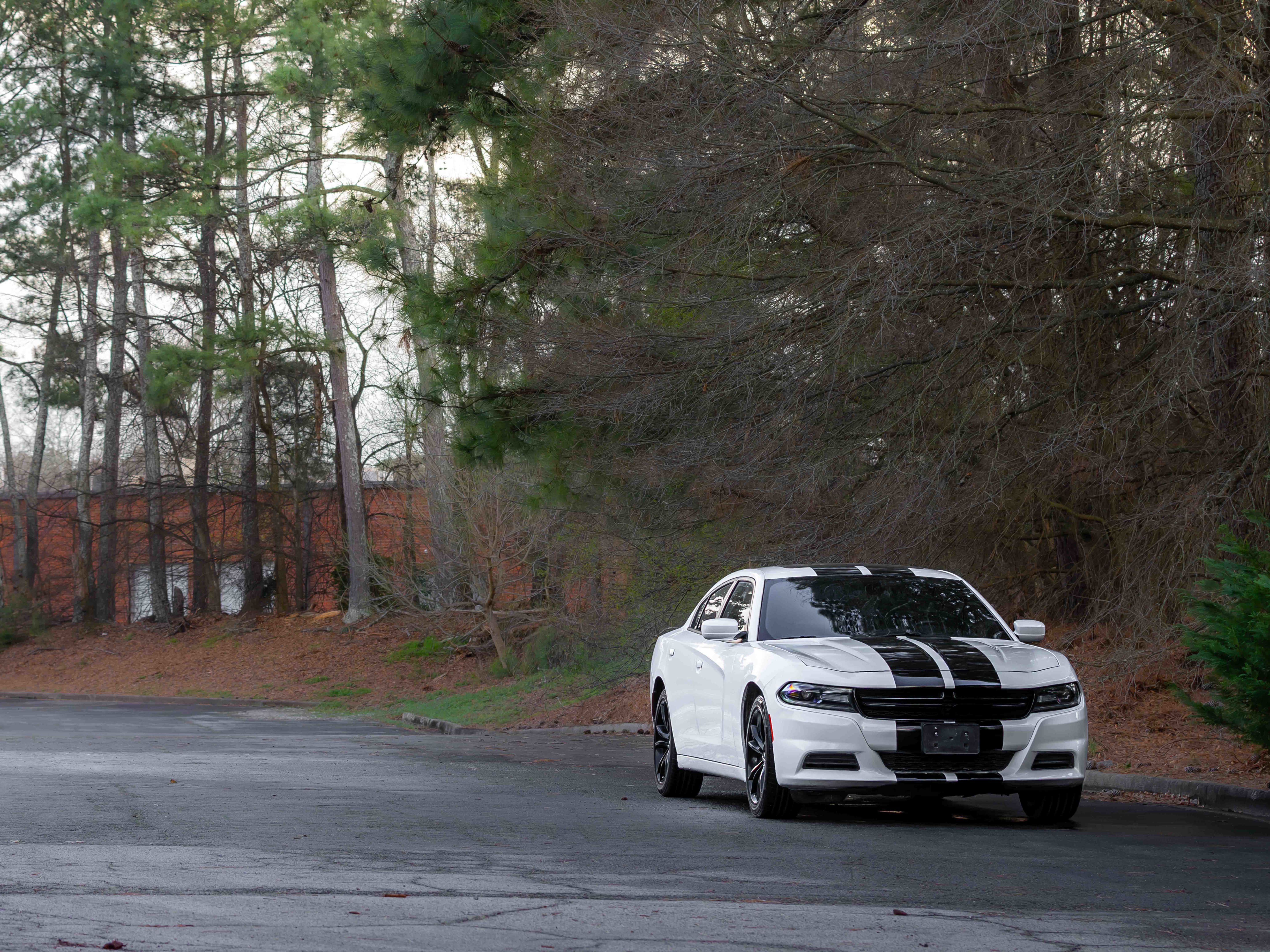 Used 2019 Dodge Charger SXT w/ Leather Interior Group image 39