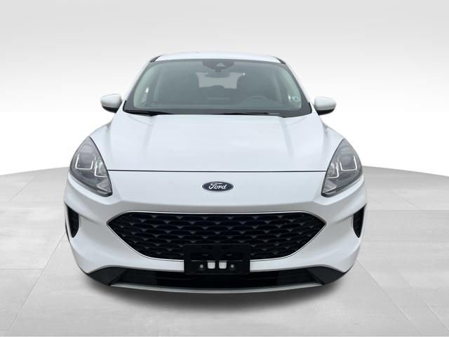 Used 2020 Ford Escape SE image 10