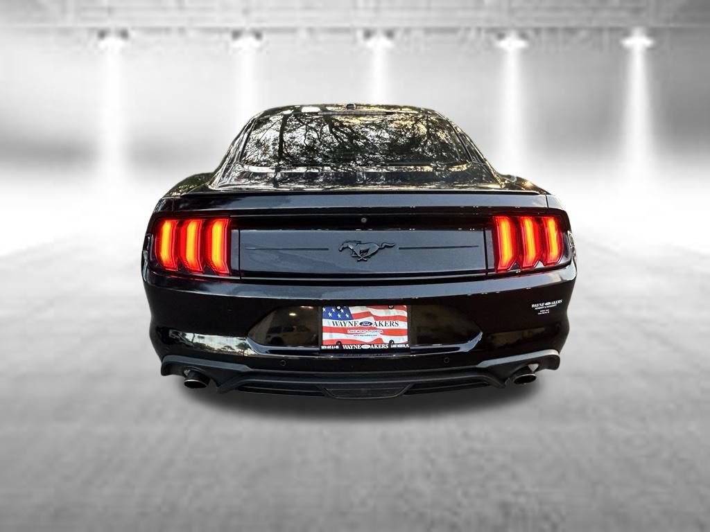 Certified 2019 Ford Mustang Premium w/ Equipment Group 201A RWD image 5