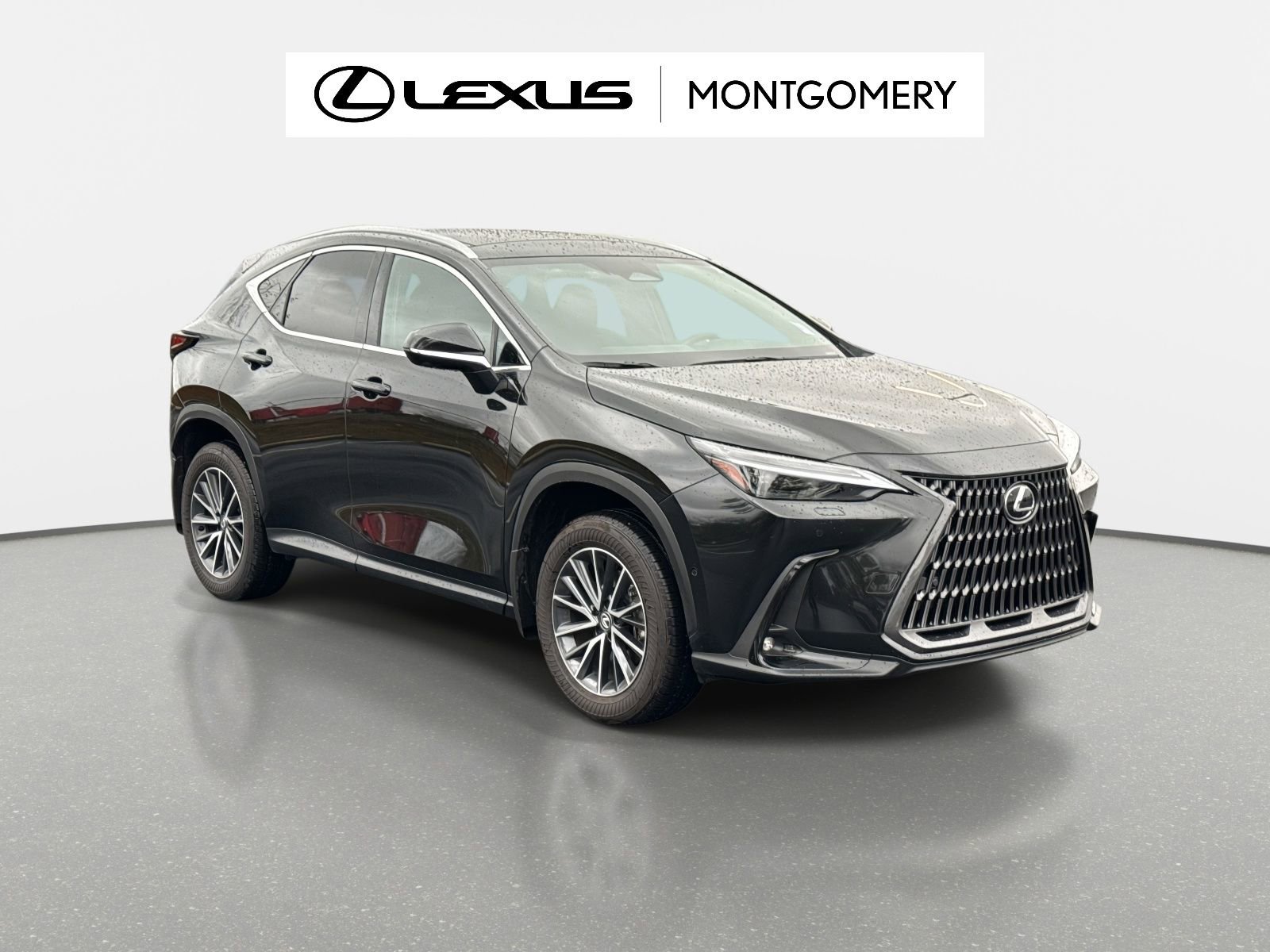 Used 2025 Lexus NX 300h AWD w/ Luxury Package