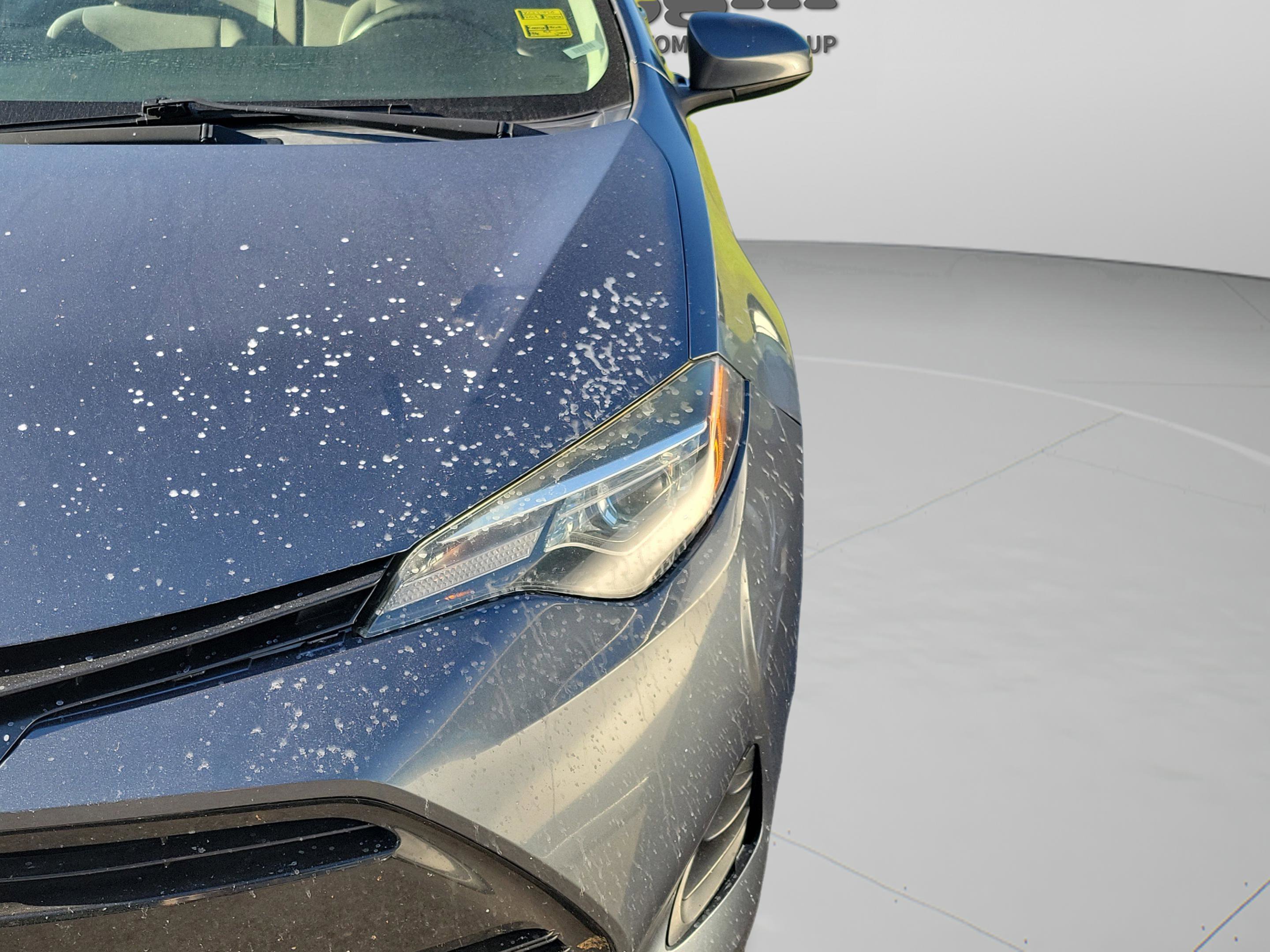 Used 2019 Toyota Corolla LE image 12