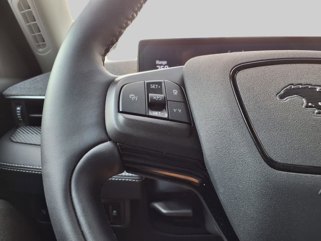 Used 2024 Ford Mustang Mach-E Premium image 17